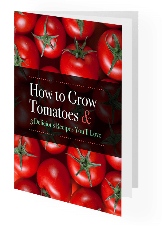 How to grow tomatoes book