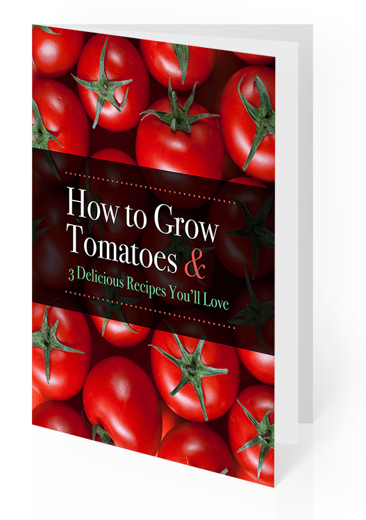 How to grow tomatoes book